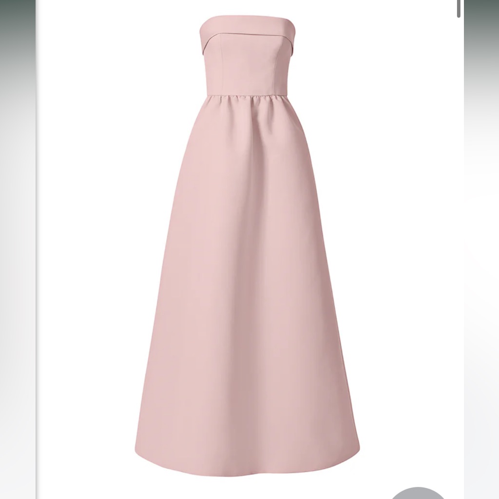 Amsale Renee Strapless Blush Pink Maxi Dress